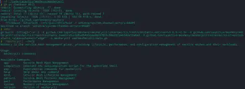 Validating Meshery CLI Functionality